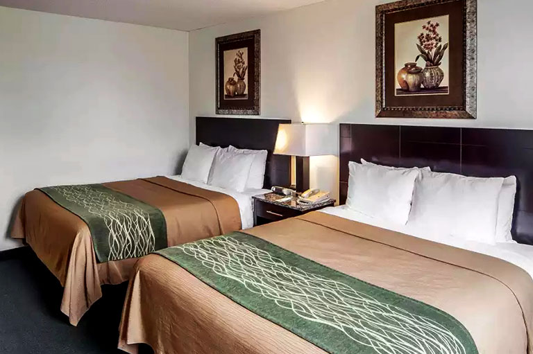 Edmonton Hotel Deals And Packages Comfort Inn Suites Downtown Edmonton Edmonton Hotel Deals And Packages Comfort Inn Suites Downtown Edmonton